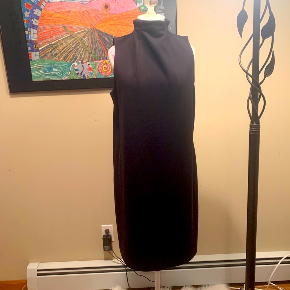 Adrienne Vittadini- Mock Neck Sleeveless Dress